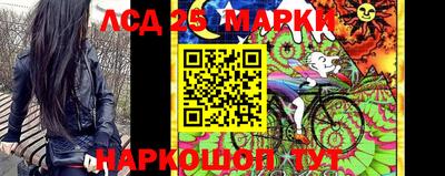 ГАЛЛЮЦИНОГЕННЫЕ ГРИБЫ Кингисепп