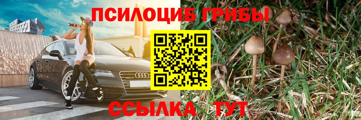 Королёв  Псилоцибиновые грибы MAGIC MUSHROOMS  цены наркотик  Псилоцибиновые грибы Psilocybine cubensis  Вход с VPN 