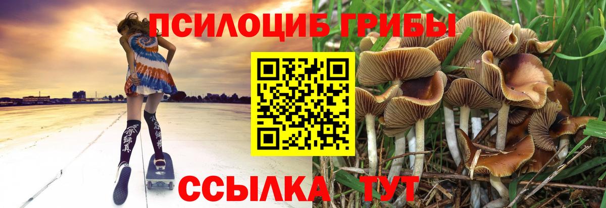 Галлюциногенные грибы MAGIC MUSHROOMS Королёв